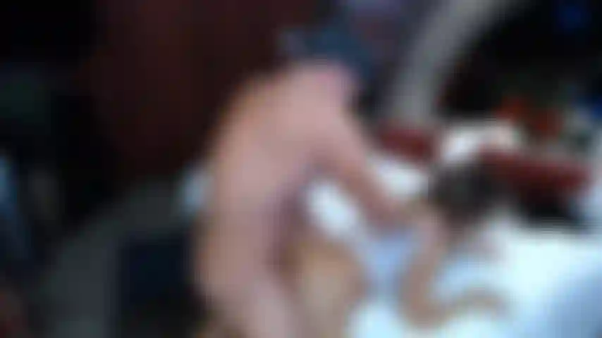 Bo blake batendo em gina por trás.