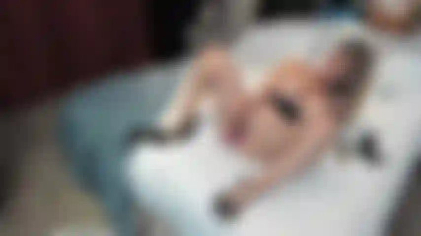 Dupla penetração com 2 brinquedos solo.