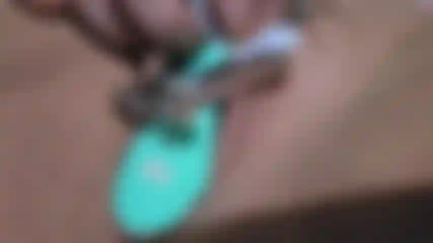 Pussy clamp and vibrator