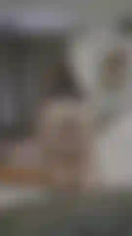 Quer ver quicando no seu rosto?
