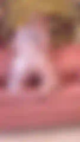 Im on the sofa, baby, knees sunk deep into the cushions, facing away so you get the full view of my round ass bouncing right in your face. My thick, suction-cup dildo is stuck firm to the leather seat, glistening with lube and my own juices. I lower myself slow, taking every veiny inch into my dripping pussy until my ass cheeks slap against the base.
Then I start to ride, hard and filthy, hips rolling back and forth, up and down, the toy disappearing inside me over and over. My ass jiggles with every thrust, cheeks clapping loud, pussy gripping the shaft so tight you can see the creamy mess coating it when I lift up. I lean forward, arching my back deeper, giving you the perfect angle to watch me fuck myself senseless, moaning your name while I grind my clit against the soaked leather. Come closer, baby slap this ass while I ride.