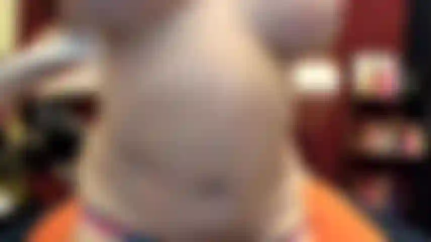 ( Gs.533) GoldieStar se apresenta em show de ouro - 9:01 minutos. Peitos grandes, bucetinha peluda, pés descalços, esguichando, gilf, anal, dp, grande vibrador gelatinoso transparente (27/04/22).