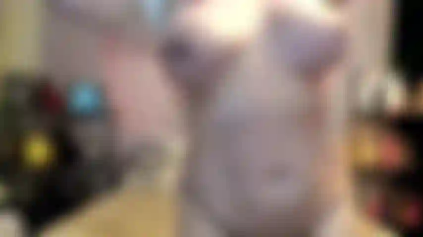 ( Gs.1045) GoldieStar se apresenta em show de ouro - 7:59 minutos. Peitos grandes, bunda grande, gilf, buceta peluda, esguichando, enchendo calcinha, anal, dp, óleo, pés descalços (14/07/2023 @ 4:47 da manhã)_1689324447868.