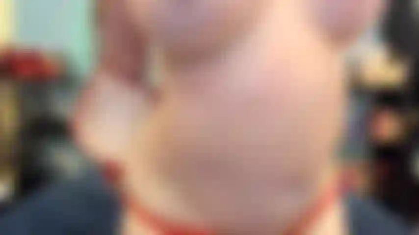 ( Gs.481) GoldieStar se apresenta em show de ouro. Roleplay (chamando todos na sala pelo nome...) 8 Minutos. Gilf, bucetinha peluda, pés descalços, squirting, anal, brinquedo interativo, dp, consolos todos brancos (25/02/2022).