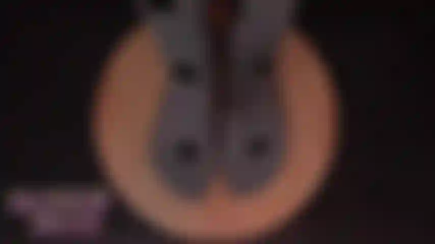 Pedicure asmr de adoração de pés.