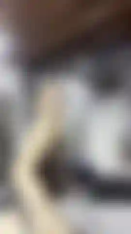 Naughty naughty as the song