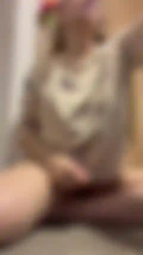 Olha que delícia eu monto.