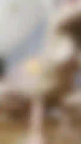 I gave you every angle tonight front and back slow, deep, and impossible to ignore