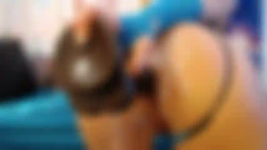 Visão de perto de um pau monstro.