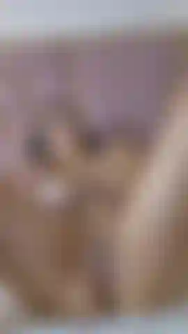 Look how wet my pussy is