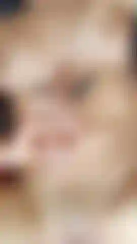 O calor está me consumindo ððð foder minha buceta e meu cu ao mesmo tempo faz meu calor aumentar, mas meu corpo clama pelo calor das suas carícias enquanto alcanço o pico do êxtase, junte-se a este momento quente e molhado comigo, eu prometo que você não vai se arrepender ððð.