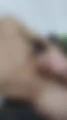 Exposição acidental? Talvez não.