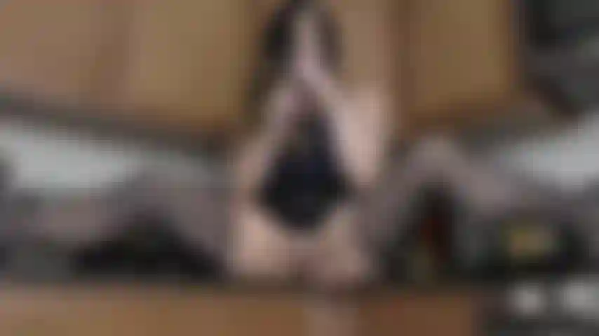 Brincadeira de pepino - sm.