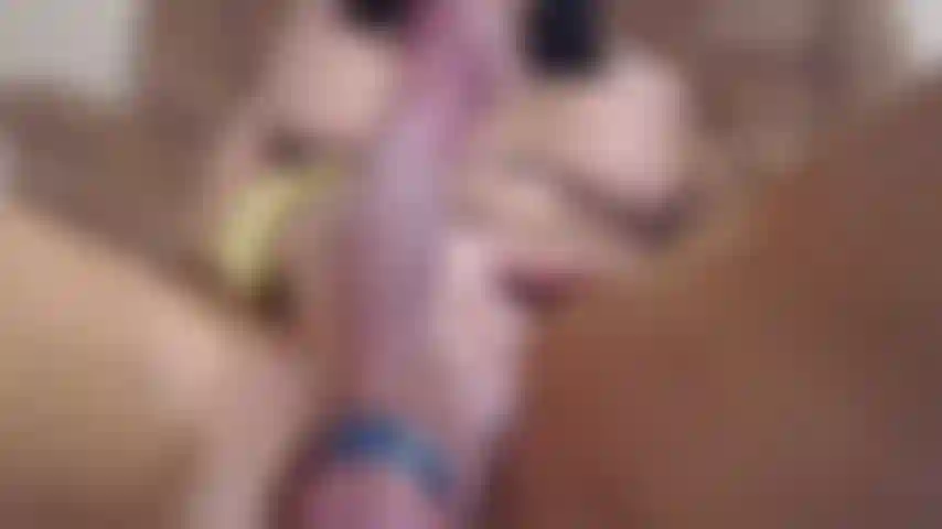 Meu pau, de perto e pessoal.