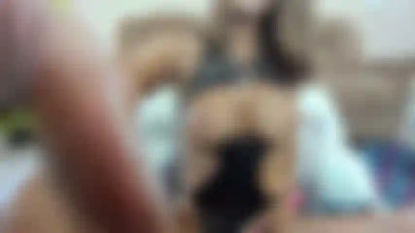 Minha bunda tem bastante almofada pra você foder.