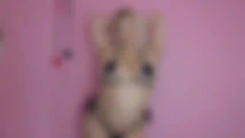 Bunda idolatrada doutrinação + princesa buceta revelada.