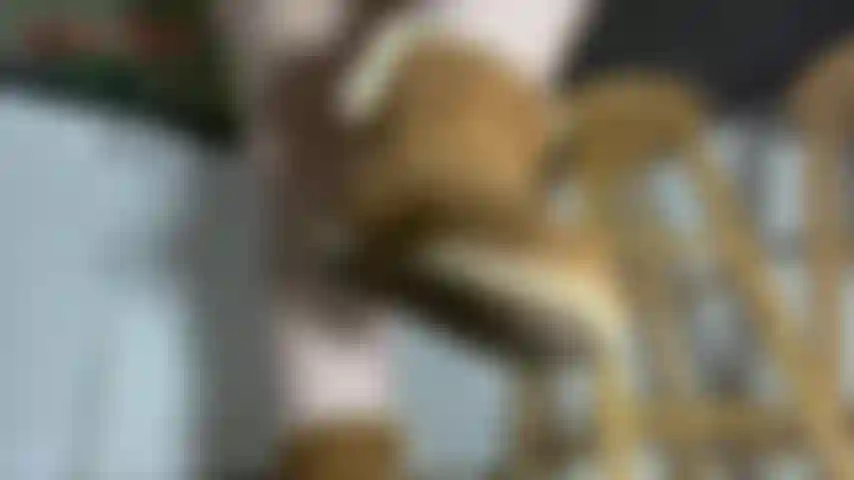 Lick ugg boots clean pov - você está no chão onde pertence, pronta para servir jackie e seus grandes pés sensuais. Hoje ela está com suas botas ugg sujas. Normalmente ela só usa dentro de casa, mas tem estado tão frio ultimamente que ela usa...