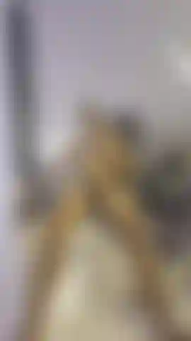 Meu pau em movimento. Parte 1 🍆.