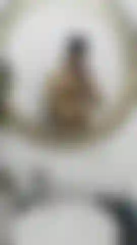 Depois de uma sessão de fotos vêm coisinhas depois de um ensaio fotográfico, algumas coisinhas estão chegando.
