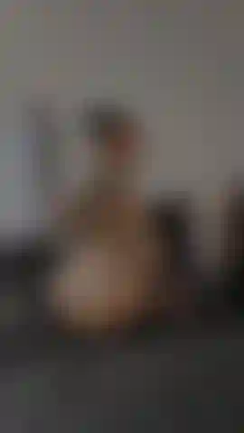 Smack that fat white ass