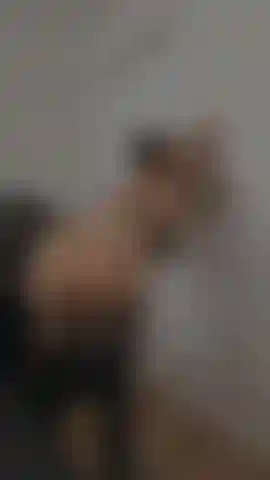 Big fat white ass, sexy little buttolug