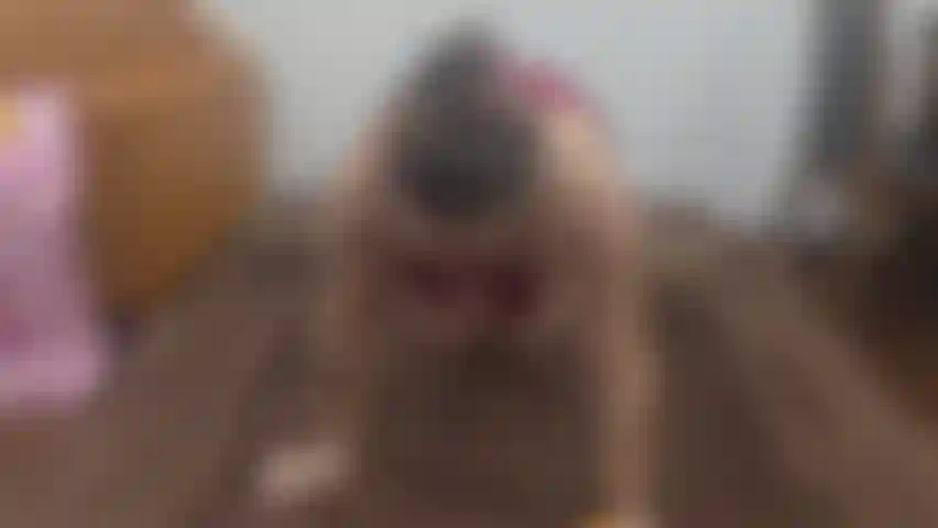 Jade here again for Foodie Friday, this time she is