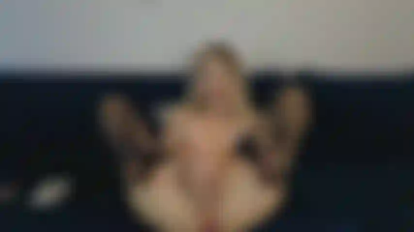 Fodo buceta com vibrador e dedos.