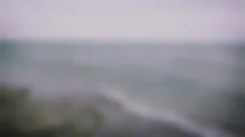 Vamos curtir na praia!