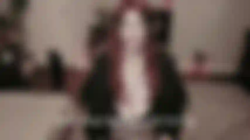 Slow Mutual Play  You & Me follow each others rhythm, and let the tension build naturally. I guide the pace, and you stay with me; we enjoy the feeling of sharing the moment.
intimate moment where its just you and me, focused and connected. This vid is about you and me cumming together, mmm