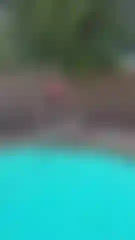 Diving Board Handstand!