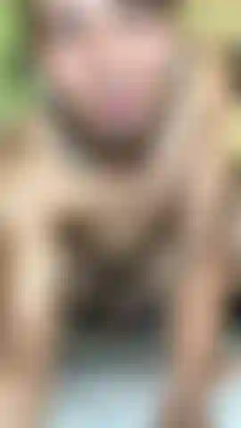 Como é delicioso tocar e gozar.