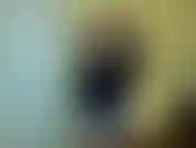 Olhe para você, escrava da castidade. Chupando a porra de outro homem da calcinha e você nem sabe de quem é a porra. Eu também não. Dei seu bj mensal para um estranho em vez de você. Você não vale nada.