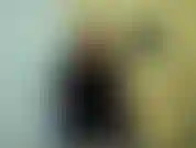 Você pensou que ia foder uma garota? Você é nojenta e patética. Nunca submeteria uma mulher à sua vileza. Você está sendo fodida por uma compra com um pau grande. Vou até deixar você esfregar seu clitóris hoje como recompensa.