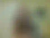 Vou sair e vou procurar um estranho gostoso para foder. Você se tornou absolutamente inútil na cama. Vou deixar você se masturbar na minha frente e até mostrar alguns peitos e bunda antes de eu ir. Você é patético.