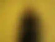 Estou cansada das suas choramingações. Você queria ser minha escrava e será minha escrava. Enfie a língua na minha bunda sem reclamar e posso deixar você sair da sua jaula de castidade eventualmente. Mas não prometo isso.