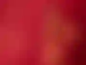 Eu só quero dar a você tudo o que você procura para que você possa obter uma boa surpresa.