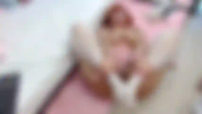 Bondage/ submissa/ garota simpática.