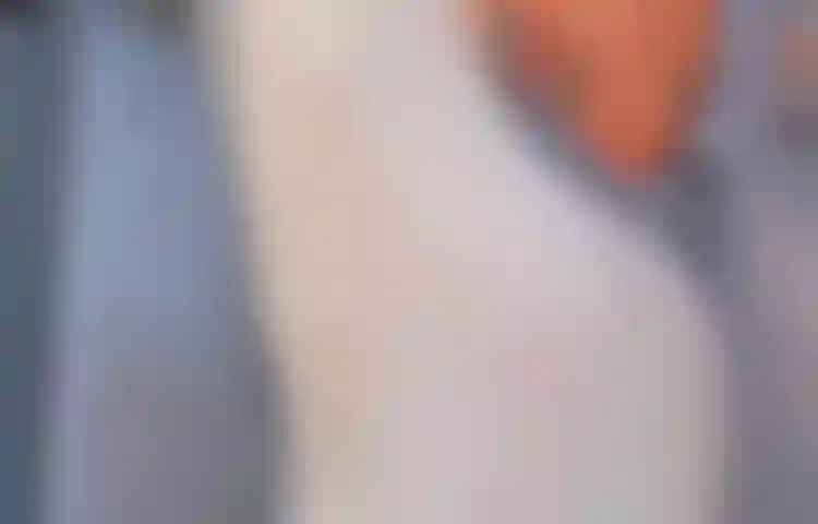 Tomo um banho e esfrego meus seios e minha buceta. Você gostaria de participar desse banho longo comigo?