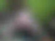 Avc teaser na área de jogo reorganizada;).