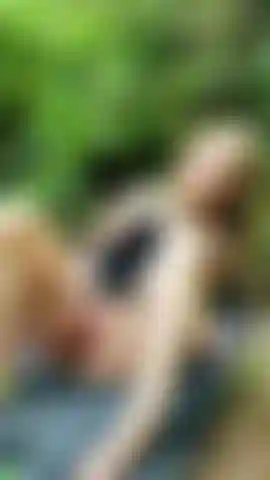 Jogo molhado na floresta.