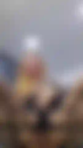 Minha vagina está um pouco inquieta esta noite, querido, você gostaria de brincar com ela um pouco?