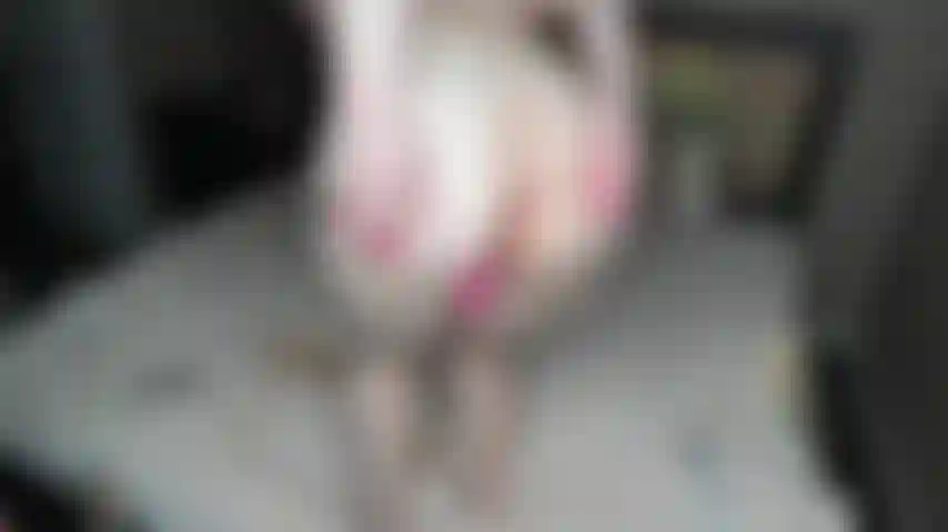 Babaca rosa, babaca de plugue de coração rosa, babaca na câmera e posição canina, unhas rosa compridas.