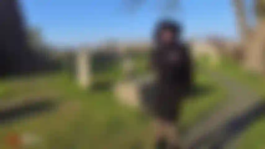 Uma viúva de nylon.