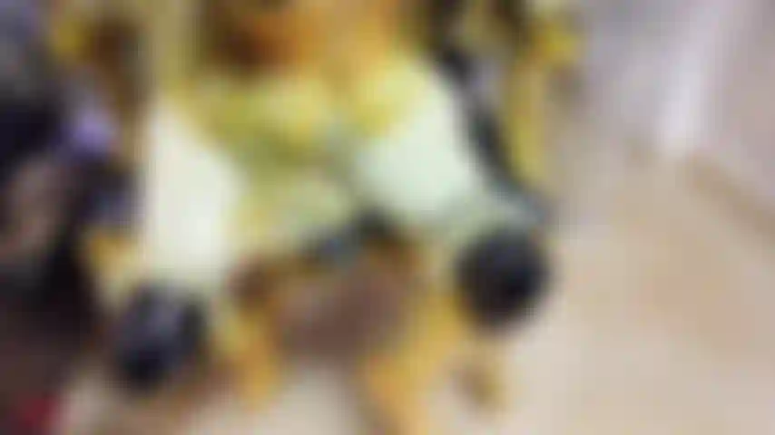 O sonho de chrissie, parte 3.