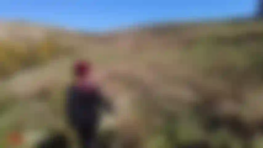 Faço trilhas de borracha.