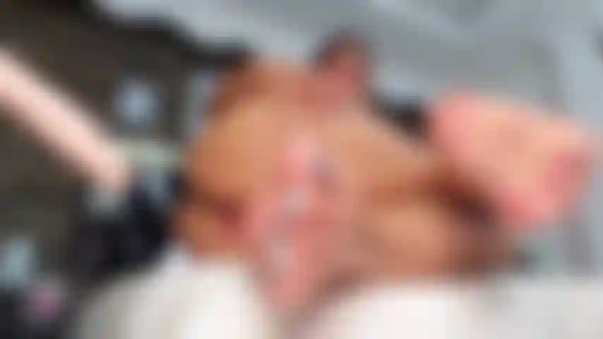 Beijo meus pés enquanto fodo até gozar.