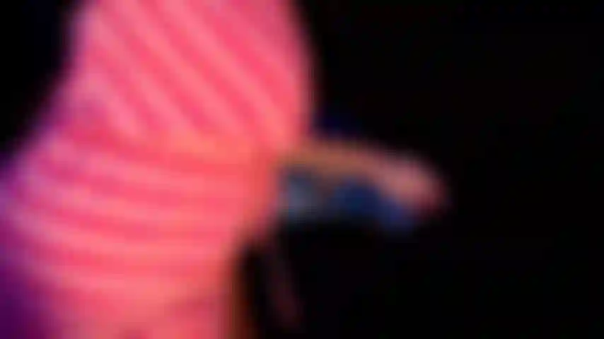 Segura essa noz!! ( Joi, contagem regressiva).