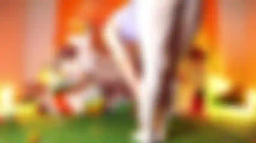 Your Easter Bunny is here