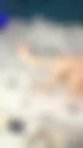 The sexiest feet you will see today