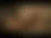 Buceta cremosa meu primeiro vídeo. Me veja foder meu buraquinho apertado até ficar tããão cremoso!!